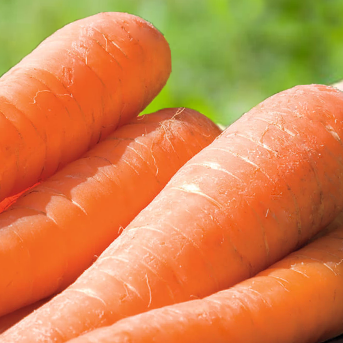 Svájcivitamin.hu - A vitamin