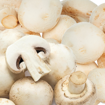 Svájcivitamin.hu - B2 vitamin