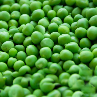 Svájcivitamin.hu - B8 vitamin