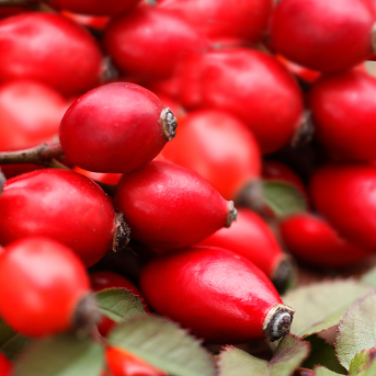 Svájcivitamin.hu - C vitamin